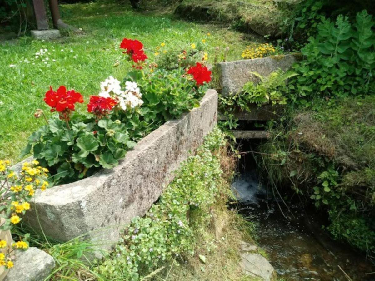 Chaloupka Na Konci Sveta Villa Raskov Ngoại thất bức ảnh
